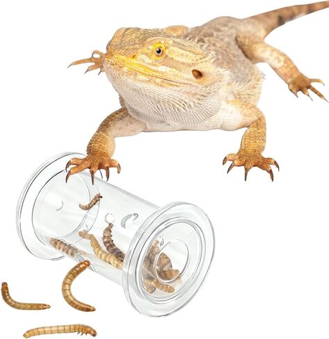 Bearded Dragon Feeder Toy - Lizard Enrichment Interactive Toy Reptile Terrarium Tank Decor Foraging Accessories for Gecko, Lizard, Bearded Dragon,Chameleon Small Animals in Kuwait