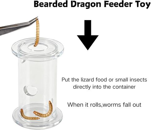Bearded Dragon Feeder Toy - Lizard Enrichment Interactive Toy Reptile Terrarium Tank Decor Foraging Accessories for Gecko, Lizard, Bearded Dragon,Chameleon Small Animals in Kuwait