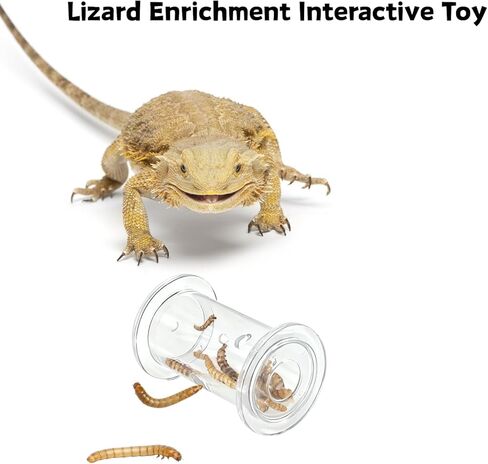 Bearded Dragon Feeder Toy - Lizard Enrichment Interactive Toy Reptile Terrarium Tank Decor Foraging Accessories for Gecko, Lizard, Bearded Dragon,Chameleon Small Animals in Kuwait