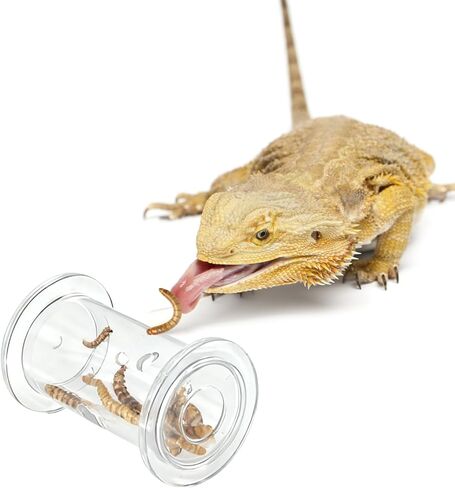 Bearded Dragon Feeder Toy - Lizard Enrichment Interactive Toy Reptile Terrarium Tank Decor Foraging Accessories for Gecko, Lizard, Bearded Dragon,Chameleon Small Animals in Kuwait