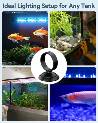 Pawfly 6 Pcs Fish Tank Tube Light Suction Cups Aquarium Suction Cups for 1" to 1.5" Wide Aquarium Tube Light Holders Suckers with 1 Inch Elastic Rubber Ring (Not for Airline Tubing) in Kuwait