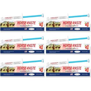 6 Pack Equine Paste 1.87% – (6.08g Each) Apple Flavored Oral for Horse in Saudi Arabia