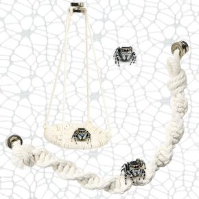 Jumping Spider Accessories, 3 Pcs Jumping Spider Natural Cotton Rope Bridge, Swing & Climbing Net Handmade Magnetic Mounting, for Medium and Small Jumping Spider Terrarium Enclosures in Saudi Arabia