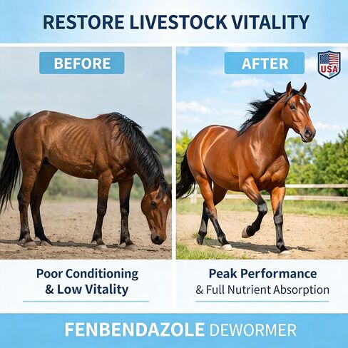 Fenbendazole-Based Digestive Support for Horses and Poultry, Intestinal Support Formula for Routine Animal Wellness in Kuwait