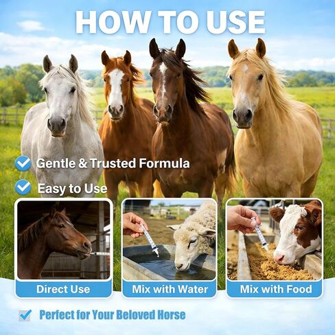 Fenbendazole-Based Digestive Support for Horses and Poultry, Intestinal Support Formula for Routine Animal Wellness in Kuwait