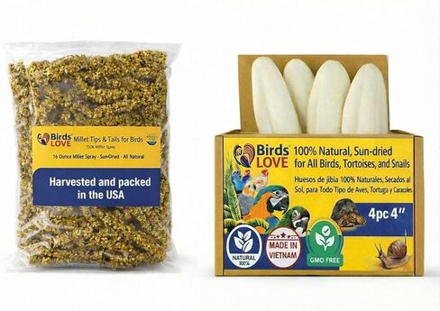 Farm to Feathers ™ الاقتصاد والدخن الرش الرقيق مع حزمة Cuttlebone - بخاخات الدخن المزروعة في الولايات المتحدة الأمريكية لجميع الطيور والكوكاتيل وطيور الحب والببغاوات والعصافير - 7 أونصة (عبوة من قطعة واحدة) + 4 بوصات عظم الحبار (4 عبوات) in Kuwait
