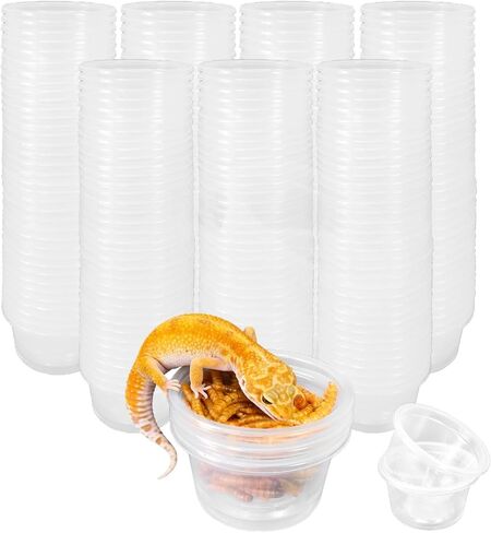 Tfwadmx 1oz 500pcs Gecko Feeding Cups, Reptile Food Dish and Water Cups Reptile Feeding Bowls Gecko Tank Accessories for Lizards Snake Crabs (1oz 500pcs) in Kuwait