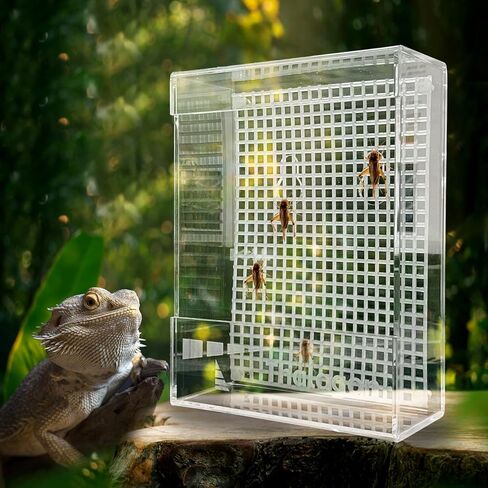 Bearded Dragon Feeder, Transparent Acrylic Reptile Feeding Box, Chameleon Bug Bowl, Wall-Mounted Insect Bowl with Suction Cups, Tank and Aquarium Accessories for Lizard Gecko Frog in Kuwait
