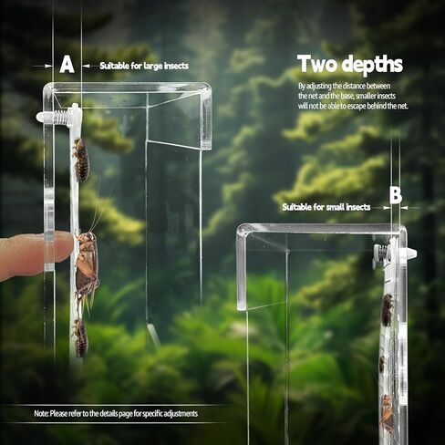 Bearded Dragon Feeder, Transparent Acrylic Reptile Feeding Box, Chameleon Bug Bowl, Wall-Mounted Insect Bowl with Suction Cups, Tank and Aquarium Accessories for Lizard Gecko Frog in Kuwait