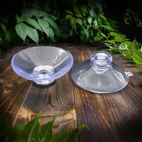Bearded Dragon Feeder, Transparent Acrylic Reptile Feeding Box, Chameleon Bug Bowl, Wall-Mounted Insect Bowl with Suction Cups, Tank and Aquarium Accessories for Lizard Gecko Frog in Kuwait