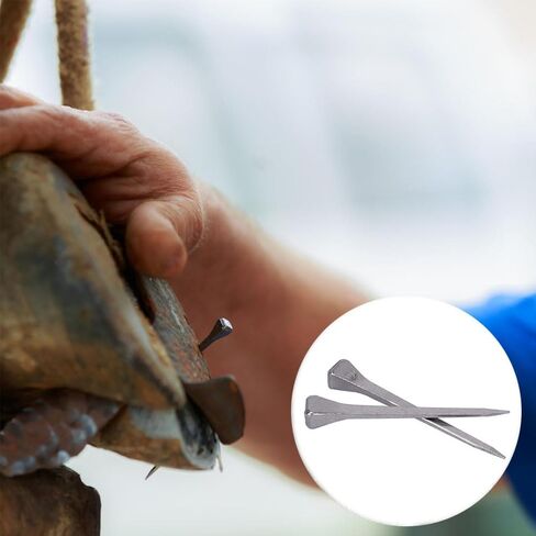 50 Pcs E5 Horseshoe Nails, 2 Inches Low Carbon Steel Horse Hoof Nail for Securing Firmly Horse Training Supply para Caballos Shoe Nails (E7) in Kuwait