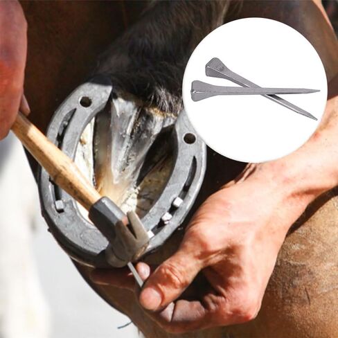 50 Pcs E5 Horseshoe Nails, 2 Inches Low Carbon Steel Horse Hoof Nail for Securing Firmly Horse Training Supply para Caballos Shoe Nails (E7) in Kuwait