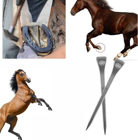 50 Pcs E5 Horseshoe Nails, 2 Inches Low Carbon Steel Horse Hoof Nail for Securing Firmly Horse Training Supply para Caballos Shoe Nails (E7) in Kuwait