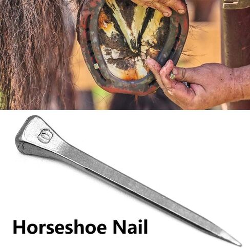 50 Pcs E5 Horseshoe Nails, 2 Inches Low Carbon Steel Horse Hoof Nail for Securing Firmly Horse Training Supply para Caballos Shoe Nails (E7) in Kuwait
