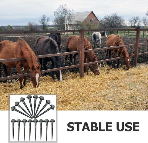 TOYANDONA 50pcs Horseshoe Nails Compact Small Hoof Nails Sturdy Iron Replaceable Hoof for Horse Farrier Supplies Equestrian Horse Equipment in Kuwait
