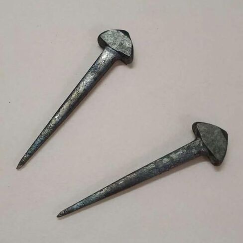 TOYANDONA 50pcs Iron Horseshoe Nails Stable Horse Equipment Small Horseshoe Tool Portable Fixing Nails for Farrier Supplies and Equestrian Use in Kuwait