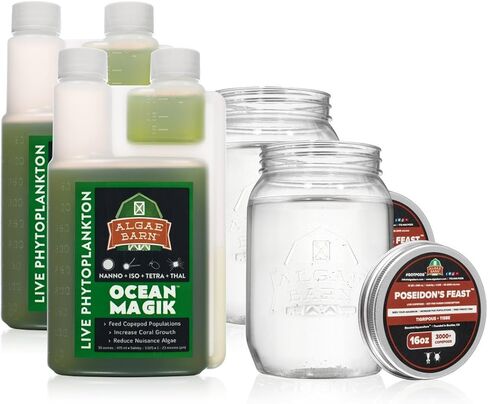 AlgaeBarn Live Copepods & Phytoplankton Combo Pack Tisbe & Tigriopus Pods + Live Phytoplankon (16oz) in Kuwait