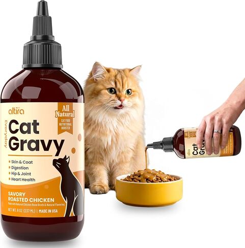 Everyday Cat Gravy - Wet Cat Food Topper for Dry Food and Wet Food with Chicken Bone Broth, Glucosamine, MSM, Omega 3 and Probiotics - Skin, Coat, Heart, Hip & Joint Support, 8oz RoastedChicken in Kuwait