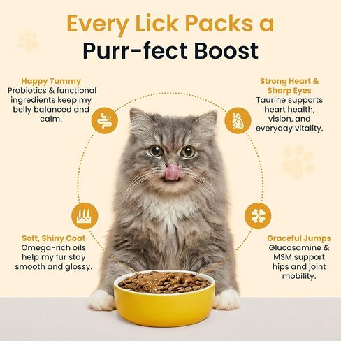 Everyday Cat Gravy - Wet Cat Food Topper for Dry Food and Wet Food with Chicken Bone Broth, Glucosamine, MSM, Omega 3 and Probiotics - Skin, Coat, Heart, Hip & Joint Support, 8oz RoastedChicken in Kuwait