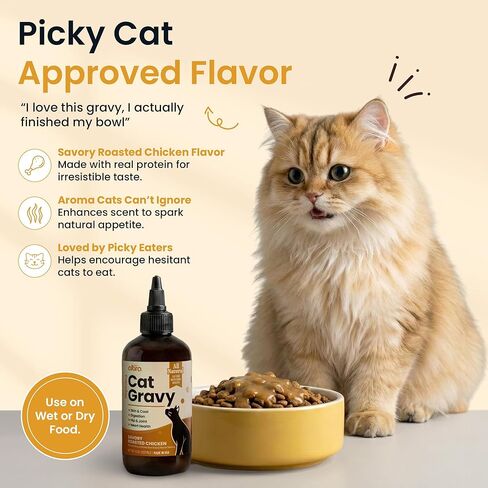 Everyday Cat Gravy - Wet Cat Food Topper for Dry Food and Wet Food with Chicken Bone Broth, Glucosamine, MSM, Omega 3 and Probiotics - Skin, Coat, Heart, Hip & Joint Support, 8oz RoastedChicken in Kuwait