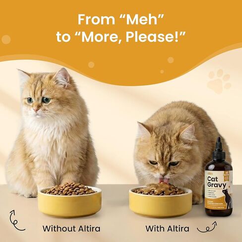 Everyday Cat Gravy - Wet Cat Food Topper for Dry Food and Wet Food with Chicken Bone Broth, Glucosamine, MSM, Omega 3 and Probiotics - Skin, Coat, Heart, Hip & Joint Support, 8oz RoastedChicken in Kuwait