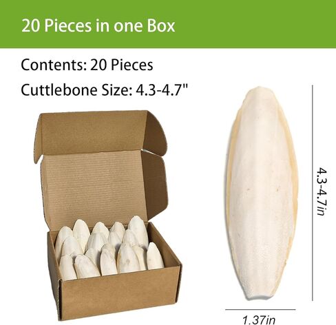4.3"-4.7" Cuttlebone for Birds,Parakeets Cuddle Bone Beak Trimming,Premium Calcium Natural Cuttlefish Bone for Parrot,Cockatiel,Budgie,Tortoise, Snails,Reptiles,20 Pcs in Kuwait