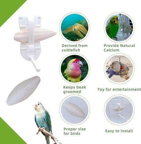 4.3"-4.7" Cuttlebone for Birds,Parakeets Cuddle Bone Beak Trimming,Premium Calcium Natural Cuttlefish Bone for Parrot,Cockatiel,Budgie,Tortoise, Snails,Reptiles,20 Pcs in Kuwait