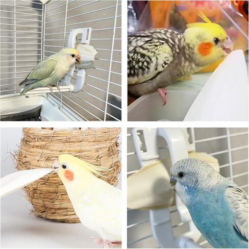 4.3"-4.7" Cuttlebone for Birds,Parakeets Cuddle Bone Beak Trimming,Premium Calcium Natural Cuttlefish Bone for Parrot,Cockatiel,Budgie,Tortoise, Snails,Reptiles,20 Pcs in Kuwait
