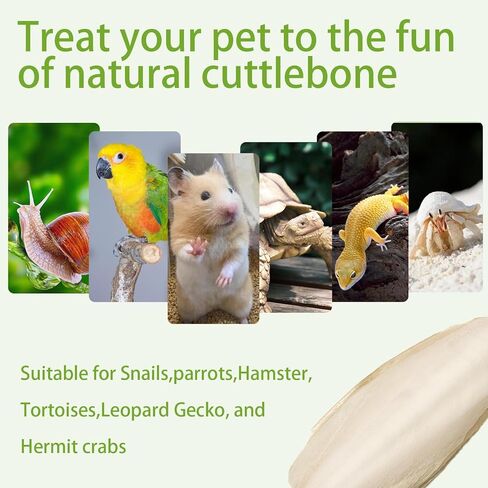 4.3"-4.7" Cuttlebone for Birds,Parakeets Cuddle Bone Beak Trimming,Premium Calcium Natural Cuttlefish Bone for Parrot,Cockatiel,Budgie,Tortoise, Snails,Reptiles,20 Pcs in Kuwait