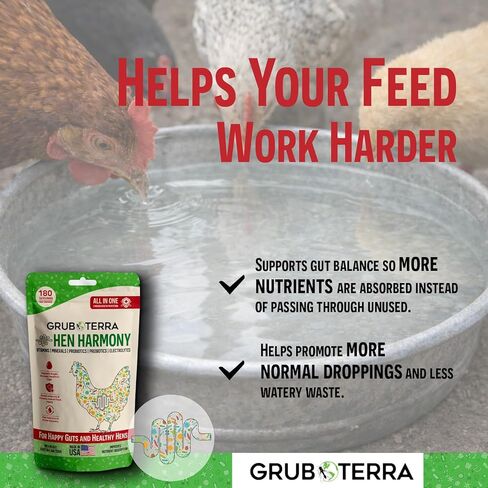 GrubTerra Hen Harmony - إلكتروليتات الدجاج الكل في واحد للمياه مع البروبيوتيك والبريبايوتكس، مكملات الأمعاء اليومية والفيتامينات التي تدعم الترطيب والهضم وإنتاج البيض - 180 حصة in Kuwait