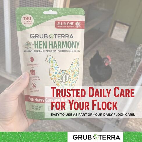 GrubTerra Hen Harmony - إلكتروليتات الدجاج الكل في واحد للمياه مع البروبيوتيك والبريبايوتكس، مكملات الأمعاء اليومية والفيتامينات التي تدعم الترطيب والهضم وإنتاج البيض - 180 حصة in Kuwait