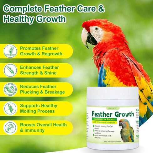 Parrot Feather Growth Supplement with Vitamins & Minerals Bird Feather Support Powder for Healthy Plumage Skin Condition Metabolism Support for Parrots and Companion Birds 60g in Kuwait