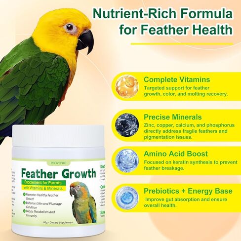 Parrot Feather Growth Supplement with Vitamins & Minerals Bird Feather Support Powder for Healthy Plumage Skin Condition Metabolism Support for Parrots and Companion Birds 60g in Kuwait