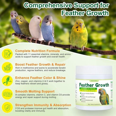 Parrot Feather Growth Supplement with Vitamins & Minerals Bird Feather Support Powder for Healthy Plumage Skin Condition Metabolism Support for Parrots and Companion Birds 60g in Kuwait