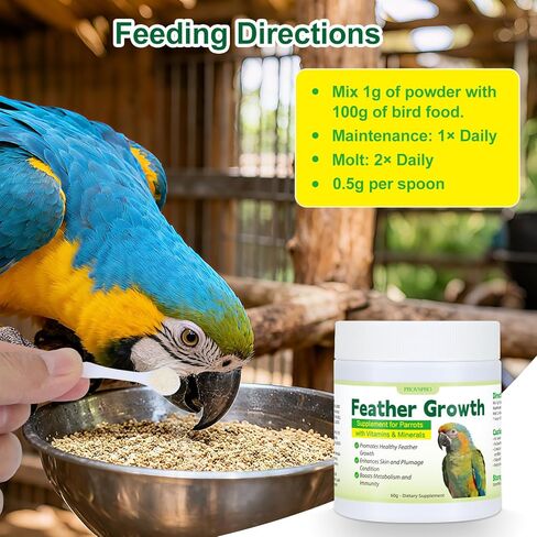 Parrot Feather Growth Supplement with Vitamins & Minerals Bird Feather Support Powder for Healthy Plumage Skin Condition Metabolism Support for Parrots and Companion Birds 60g in Kuwait