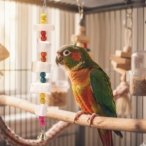 CZFSWT 2Pcs Cuttlebone for Birds, Cuddle Bones for Birds, Cuttlebone for Birds Parakeets Suitable for Beak Trimming and Health Maintenance in Kuwait