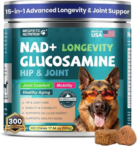 NAD+ الجلوكوزامين لملحق الورك والمفاصل للكلاب - 300 مضغ ناعم - دعم الحركة المتقدم مع MSM، الكوندرويتين، ريسفيراترول وCoQ10 - الشيخوخة الصحية والحيوية in Kuwait