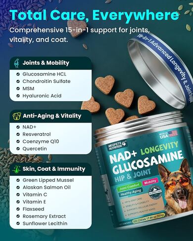 NAD+ الجلوكوزامين لملحق الورك والمفاصل للكلاب - 300 مضغ ناعم - دعم الحركة المتقدم مع MSM، الكوندرويتين، ريسفيراترول وCoQ10 - الشيخوخة الصحية والحيوية in Kuwait