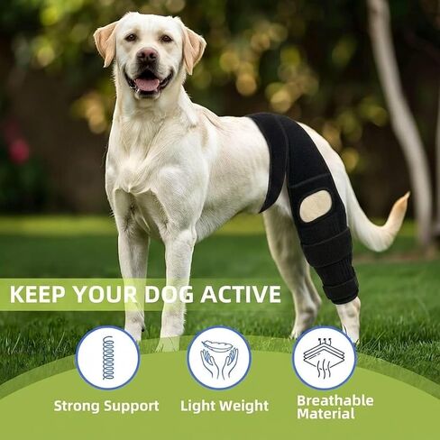 Dog Leg Braces for Back Leg- Dog ACL Brace for Torn and Back Hind Rear Legs ACL Tear, Dog Leg Brace for Hip Dysplasia, Dog Arthritis, Luxating Patella(Size L) in Saudi Arabia