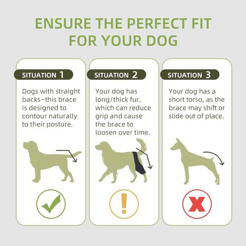 Dog Leg Braces for Back Leg- Dog ACL Brace for Torn and Back Hind Rear Legs ACL Tear, Dog Leg Brace for Hip Dysplasia, Dog Arthritis, Luxating Patella(Size L) in Saudi Arabia