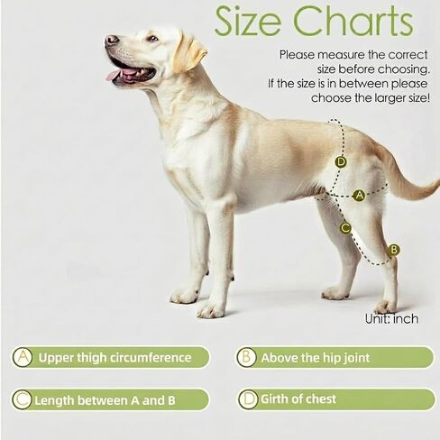 Dog Leg Braces for Back Leg- Dog ACL Brace for Torn and Back Hind Rear Legs ACL Tear, Dog Leg Brace for Hip Dysplasia, Dog Arthritis, Luxating Patella(Size L) in Saudi Arabia