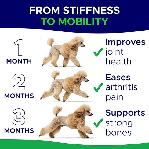 Glucosamine for Dogs Hip & Joint Supplement - Chondroitin, Omega-3, MSM - Joint Health & Pain Relief - Senior & Large Dogs - Made in USA - 120Ct in Saudi Arabia