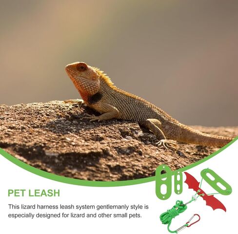 Bearded Dragon Leash with Reptile Bat Wings, Harness Adjustable for Walking and Outdoor Use, Small Pet Traction Rope Suitable for Reptiles in Kuwait