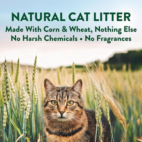 ARM & Hammer Plant Power Lightweight Plant-Based Clumping Cat Litter for Multi-Cat Homes, 14-Day Odor Control, Highly Absorbent Natural Grain Formula, Unscented 15 Lbs in Kuwait