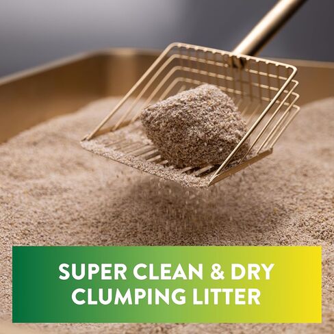 ARM & Hammer Plant Power Lightweight Plant-Based Clumping Cat Litter for Multi-Cat Homes, 14-Day Odor Control, Highly Absorbent Natural Grain Formula, Unscented 15 Lbs in Kuwait