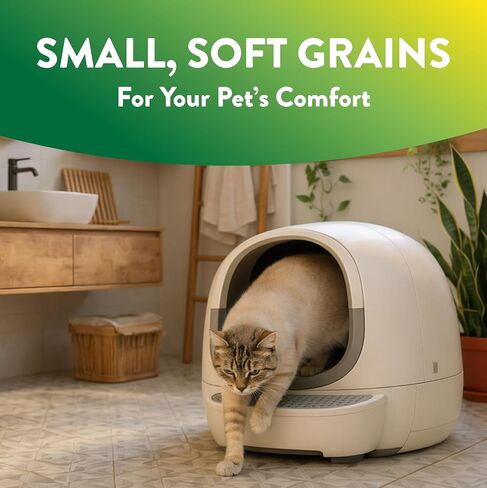 ARM & Hammer Plant Power Lightweight Plant-Based Clumping Cat Litter for Multi-Cat Homes, 14-Day Odor Control, Highly Absorbent Natural Grain Formula, Unscented 15 Lbs in Kuwait