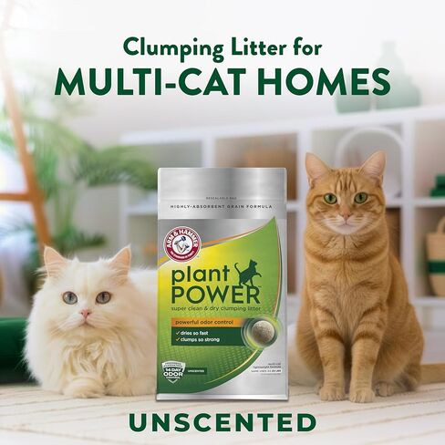 ARM & Hammer Plant Power Lightweight Plant-Based Clumping Cat Litter for Multi-Cat Homes, 14-Day Odor Control, Highly Absorbent Natural Grain Formula, Unscented 15 Lbs in Kuwait