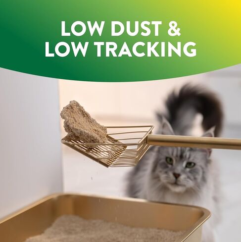 ARM & Hammer Plant Power Lightweight Plant-Based Clumping Cat Litter for Multi-Cat Homes, 14-Day Odor Control, Highly Absorbent Natural Grain Formula, Unscented 15 Lbs in Kuwait