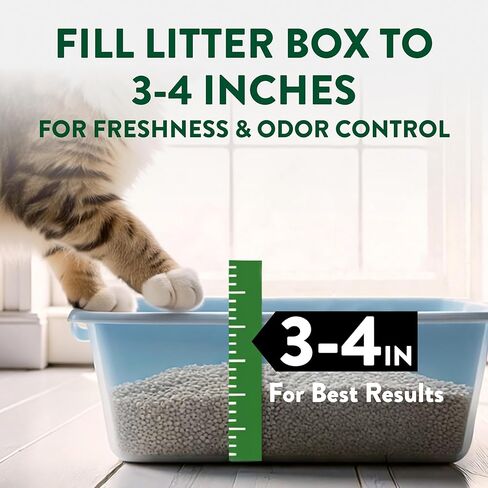 ARM & Hammer Plant Power Lightweight Plant-Based Clumping Cat Litter for Multi-Cat Homes, 14-Day Odor Control, Highly Absorbent Natural Grain Formula, Unscented 15 Lbs in Kuwait