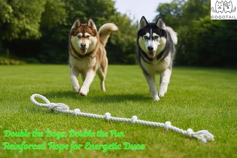 51" Extra Long Dog Rope Tug Toy with Loop Handle – 6-Knot Cotton Rope for Training, Tug-of-War & Interactive Play, Durable for Medium & Large Dogs, Indoor & Outdoor, Washable, White in Kuwait